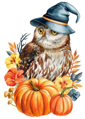 Halloween owl in witch hat, pumpkins with autumn leaves, flowers hand-drawn watercolor, spooky holiday decor. Fall art. High quality illustration clipart