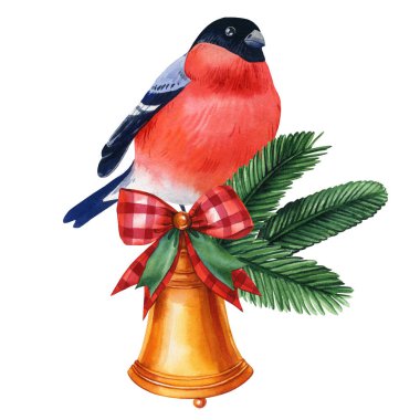 Çam dalları ve bayram dekoru olan ispinoz kuşu, kış kuşu izole edilmiş beyaz arka plan suluboya çizimi, poster. Yüksek kaliteli illüstrasyon