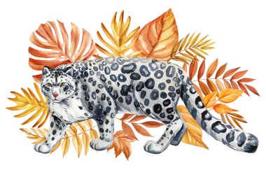 Sonbahar vahşi suluboya egzotik kedi ayrıntılı sonbahar yaprakları ile: sonbahar dekorasyonu için elle boyanmış hayvan sanatı. Kar leoparı. Yüksek kaliteli illüstrasyon