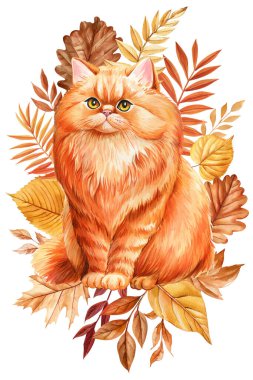 Sonbahar kedi portresi suluboya çizimi. Renkli düşmüş tüylü kızıl kedi izole bir arka plan bırakır. Tasarım sanatı. Yüksek kaliteli illüstrasyon