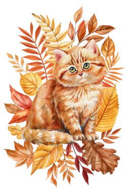 Sonbahar renkli yaprakları olan suluboya kızıl bir kedi. Canlı sonbahar yeşilliklerinde el boyaması kabarık tüylü kedi beyaz arka plan izole edilmiş. Yüksek kaliteli illüstrasyon