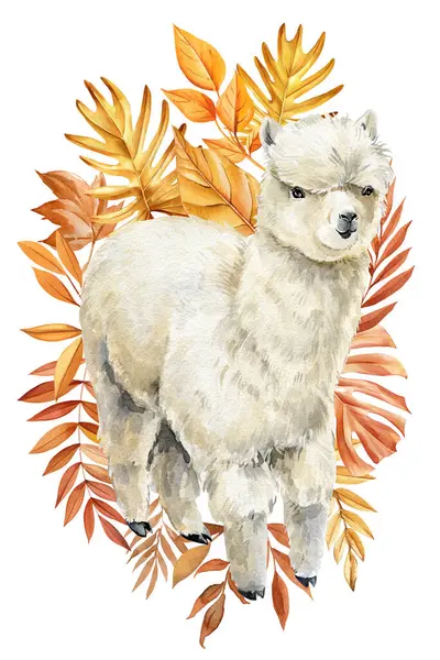 Sonbahar yapraklarında vahşi yaşam. Suluboya resimlerle boyanmış renkli bir alpaka. Tasarım posteri için komik bir lama. Yüksek kaliteli illüstrasyon