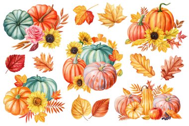 Sonbahar Yaprakları Elle Boyalı Clipart Koleksiyonu ile canlı suluboya balkabakları ve ayçiçekleri, kartpostal. Yüksek kaliteli illüstrasyon