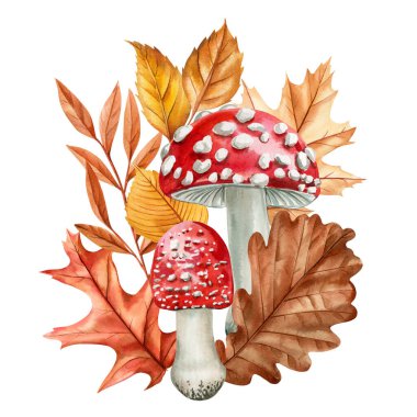 Sinek mantarı ve suluboya yapraklarla bembeyaz zemin üzerine çizilmiş sonbahar yaprakları ile sonbahar kompozisyonu. El çizimi bitkileri. Yüksek kaliteli illüstrasyon