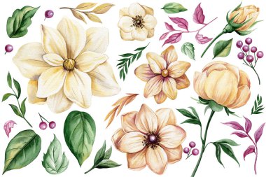 Bej rengi suluboya çiçekler, yeşillik koleksiyonu. Detaylı botanik çiçek elementleri izole edildi. Lüks, klasik, çiçekli, zarif bir düğün. Yüksek kaliteli illüstrasyon