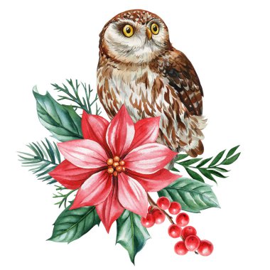 Owl sitting on branch, Watercolor painting red flower, leaves and holly berries, festive card. Winter Wonderland art. High quality illustration clipart