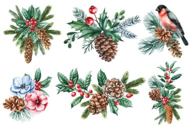 Suluboya Noel düzenini ayarlayın. Çam kozalaklı doğal dekorasyon, kutsal ve mevsimlik yeşil dallar dizayn etmek için. Yüksek kaliteli illüstrasyon