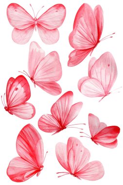 Set of pink butterflies on an isolated white background. Watercolor collection flying butterflies, spring butterfly illustration. High quality illustration clipart