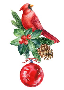 Noel süslemeli kırmızı kardinal, çam dalı, kutsal yapraklar, kırmızı böğürtlen ve kozalak, elle boyanmış suluboya sanat soyutlanmış. Yüksek kaliteli illüstrasyon