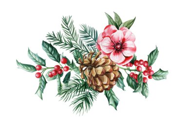 Çiçek, kozalak, kutsal çilek, her zaman yeşil olan Noel çiçekli süsleme, botanik resimli suluboya resim. Yüksek kaliteli illüstrasyon