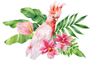Yeşil yapraklı ve çiçekli egzotik suluboya papağan, dekor için izole edilmiş tropikal kuş çizimi. Yüksek kaliteli illüstrasyon