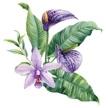 Cennet çiçeği, palmiye yaprakları, okaliptüs. Tropik yaz çiçekleri suluboya, izole edilmiş egzotik orman buketi. Yüksek kaliteli illüstrasyon