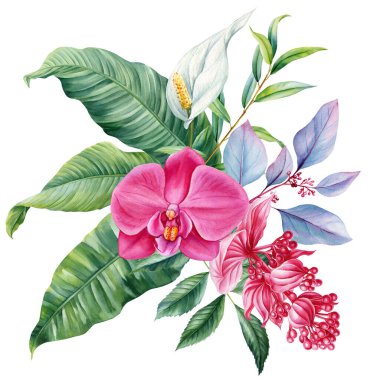 Cennet çiçeği. Suluboya ile boyanmış tropik yaz çiçekleri, doğadan esinlenilmiş tasarımlar için izole edilmiş egzotik orman buketi. Yüksek kaliteli illüstrasyon