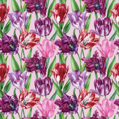Kusursuz desenli mor, pembe laleler, suluboya çiçekli desenler kağıt tekstil sarmak için zarif bahar teması. Yüksek kaliteli illüstrasyon