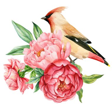 Dalgalı Kuş, Şakayık Çiçekleri İlkbahar İllüstrasyonu Botanik Çiçek Tablosu, El boyaması Doğa Sanatı İzole. Yüksek kaliteli illüstrasyon