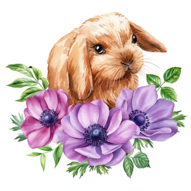 Suluboya tavşancık. Tavşan, bahar baskısı için Anemones çiçeği, davetiye, kart, poster. Tatlı bebek hayvan çocuk tatlı rüyalar. Yüksek kaliteli illüstrasyon