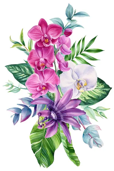 Canlı Pembe ve Beyaz Orkideler, Tutku Çiçeği, Okaliptüs Yaprakları. Tropik suluboya çiçekli botanik çizim tasarımı. Yüksek kaliteli illüstrasyon