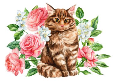 Pembe çiçekli kedi. El çizimi pofuduk kedi yavrusu, güller, Jasmine. Baskı ve dekor için suluboya hayvan sanatı. Yüksek kaliteli illüstrasyon