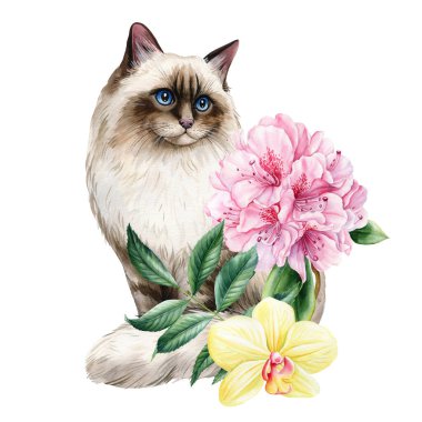 Pembe Rhododendron, orkide suluboya hayvan portresi ev dekorasyonu ve hediyeler için klasik estetik tasarım. Yüksek kaliteli illüstrasyon