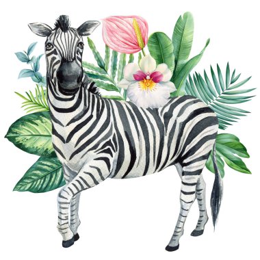 Elegant Zebra with Hibiscus and Green Leaves. Stunning Hand Painted Watercolor Illustration of Wild Safari Nature and Beauty. High quality illustration clipart