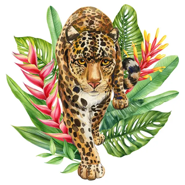 Fierce Jaguar in the Wild with Exotic Leaves, Colorful Tropical Flowers. Hand-Painted Watercolor Wildlife Illustration. High quality illustration