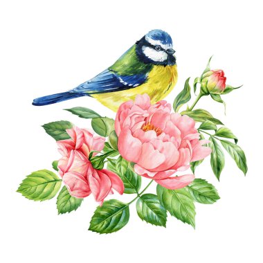 watercolor tit bird and flowers illustration, hand painted nature design, floral bouquet with songbirds isolated design. High quality illustration clipart