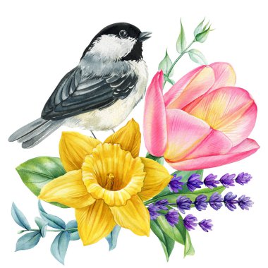suluboya bahçe kuşları ve çiçek buketi, narin el boyalı doğa kompozisyonu, ilkbahar kır çiçekleri ve tatlı ötücü kuşlar. Yüksek kaliteli illüstrasyon