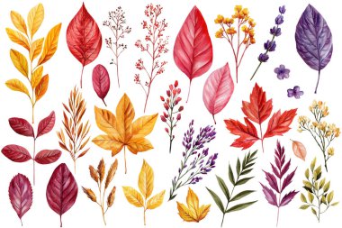 Sonbahar Yaprakları Suluboya Sanatı. Seasonal Dekor, Botanik Clipart, Doğa Boyama için Güzel El Yaprağı İllüstrasyonu. Yüksek kaliteli illüstrasyon