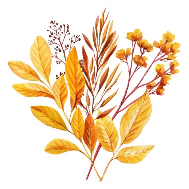 Suluboya kuru yapraklar. El yapımı sonbahar botanik çizimi izole edilmiş. Mevsimlik Tasarım için Sonbahar Yaprağı. Yüksek kaliteli illüstrasyon