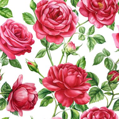 Kırmızı güller, tomurcuklar ve suluboya çiçeklerle kusursuz desenler. Çiçekli kumaş tasarımı çok güzel. Yüksek kaliteli illüstrasyon