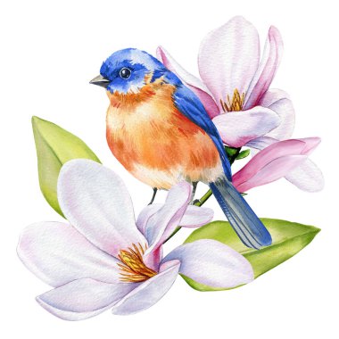 Pembe Manolyalı El Boyalı Mavi Kuş. Bahar sezonu tasarım ve baskıları için suluboya çiçek sanatı. Yumuşak bahar sanatı. Yüksek kaliteli illüstrasyon
