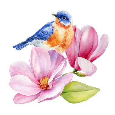 Spring Blue Bird ve Magnolia Flowers. Tasarım kartları, posterler, sanat eserleri için El Çizimi Botanik Çizimi. Yüksek kaliteli illüstrasyon
