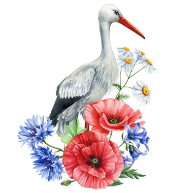 Kırmızı gelincikli leylek, mavi çiçek, papatya ve yeşil yapraklı beyaz arka plan. Suluboya Sanat kuşu. Yüksek kaliteli illüstrasyon