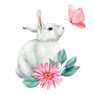 Pembe Gerbera yeşil yapraklı küçük beyaz tavşan ve beyaz arka planda izole edilmiş suluboya resimli kelebekler. Yüksek kaliteli illüstrasyon