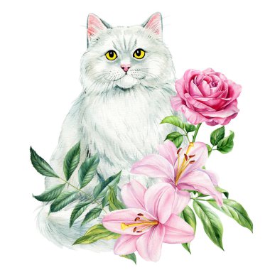 Pembe zambaklı, güllü, yeşil yapraklı ve kelebekli beyaz kedi suluboya resimli beyaz arka plan. Yüksek kaliteli illüstrasyon
