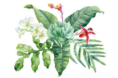 Lezzetli, beyaz arka planda izole edilmiş muz palmiyesi, tropikal yeşil bitki çizimi, dekorasyon için el boyaması doğal yaprak klipsi. Yüksek kaliteli illüstrasyon