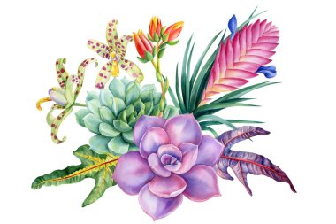 Lezzetli, egzotik yaprak izole arka plan, tropikal yeşil bitki çizimi, elle boyanmış doğa yaprağı klipsleri. Yüksek kaliteli illüstrasyon