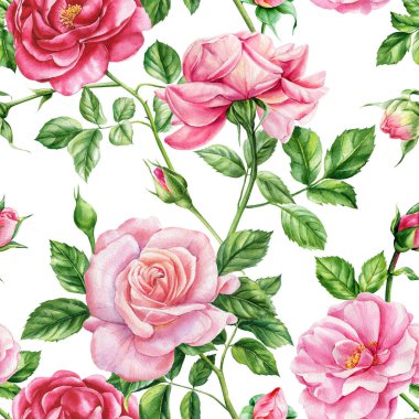 Pembe gül çiçekleri, tomurcukları ve suluboya flora arkaplanı olan kusursuz bir desen. Çiçekli kumaş tasarımı çok güzel. Yüksek kaliteli illüstrasyon