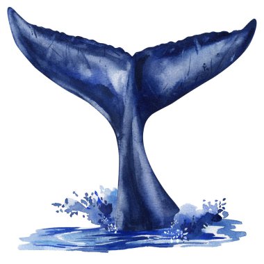 realistic watercolor whale tails splashing in blue ocean, marine animal fins, sea wildlife art, aquatic nature illustration set. High quality illustration clipart