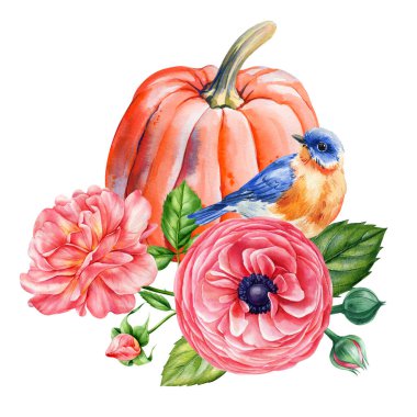 Kuşlu suluboya balkabağı ve pembe çiçekli sonbahar kompozisyonu. Elle boyanmış şükran günü çizimi. Güller ve ranunkuluslar. Yüksek kaliteli illüstrasyon