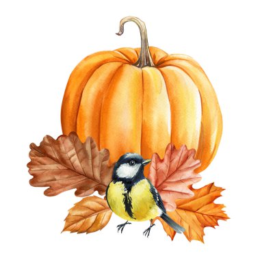 Renkli sonbahar meşe yapraklarıyla el boyası suluboya balkabağı ve tatlı kuş mevsimi sonbahar çizimi tasarımı. Yüksek kaliteli illüstrasyon