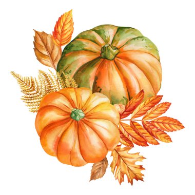 utumn balkabakları ve yapraklar suluboya betimleme botanik illüstrasyon sonbahar hasadı Şükran Günü süsleme klibi. Yüksek kaliteli illüstrasyon