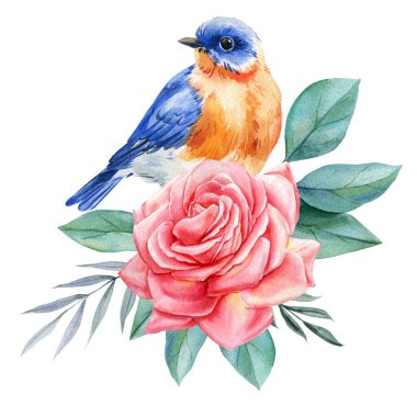 Pembe gül ve yeşil yapraklı suluboya mavi kuş klasik romantik bahçe botanik kartı ve parmak izi için çiçek çizimi. Yüksek kaliteli illüstrasyon