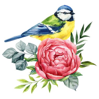 Watercolor tit bird with pink peony flower and green leaves floral illustration for garden spring nature design and greeting card print. High quality illustration