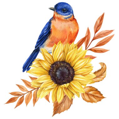 Ayçiçeği ve sonbahar yapraklı suluboya turuncu kuş sonbahar mevsimsel tebrik kartı tasarımı ve süslemesi için çiçek çizimi. Yüksek kaliteli illüstrasyon