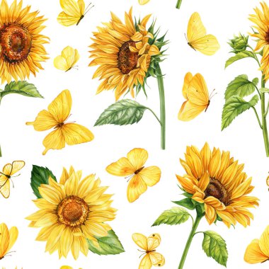 Ayçiçekleri ve sarı kelebekler pürüzsüz desenler, suluboya elle boyanmış yeşil yapraklı sarı flora. Yüksek kaliteli illüstrasyon