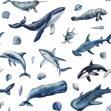 Okyanus hayvanlarıyla sulu boya desenleri yunus balina köpekbalığı balina balinası denizayısı deniz kabuğu ve deniz kabuğu sualtı illüstrasyonu. Yüksek kaliteli illüstrasyon