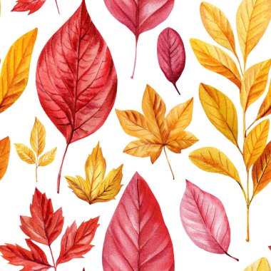 Kırmızı ve sarı sonbahar yapraklı suluboya desenler, beyaz arka planda sonbahar yeşillikleri var. Yüksek kaliteli illüstrasyon