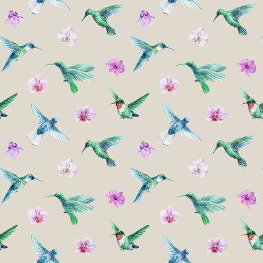 Sinek kuşları, tropik orkideler, egzotik kuşlar ve bej arka planda mor çiçeklerle sulu boya deseni. Yüksek kaliteli illüstrasyon