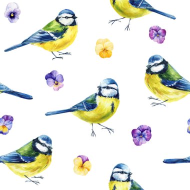 watercolor seamless pattern with blue tit birds and colorful pansy flowers, spring bird illustration, floral pattern on white background. High quality illustration